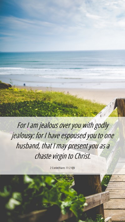 Picture 06 - 2 Corinthians 11:2 KJV Mobile Phone Wallpaper - For I am jealous over you with godly jealousy: - Mobile Bible Verse Wallpaper