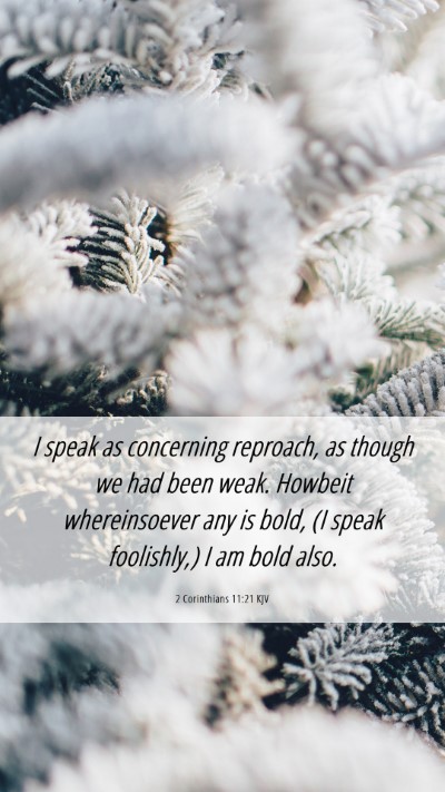 Picture 06 - 2 Corinthians 11:21 KJV Mobile Phone Wallpaper - I speak as concerning reproach, as though we had - Mobile Bible Verse Wallpaper