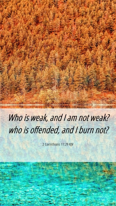 Picture 06 - 2 Corinthians 11:29 KJV Mobile Phone Wallpaper - Who is weak, and I am not weak? who is offended, - Mobile Bible Verse Wallpaper