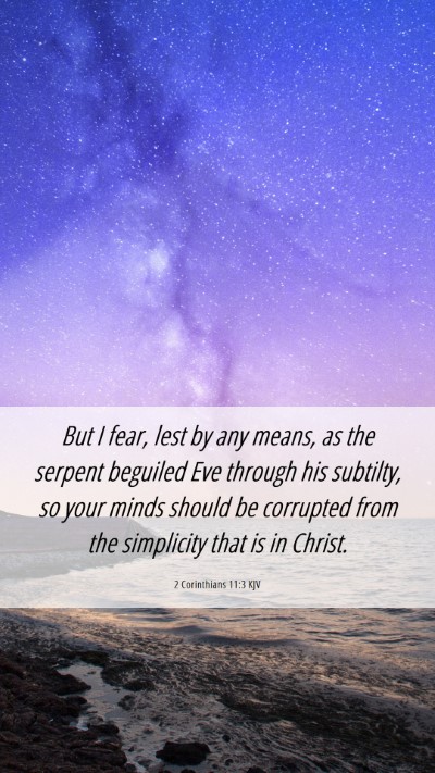 Picture 06 - 2 Corinthians 11:3 KJV Mobile Phone Wallpaper - But I fear, lest by any means, as the serpent - Mobile Bible Verse Wallpaper