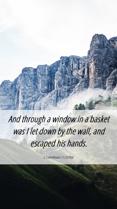 Picture 06 - 2 Corinthians 11:33 KJV Mobile Phone Wallpaper - And through a window in a basket was I let down - Mobile Bible Verse Wallpaper