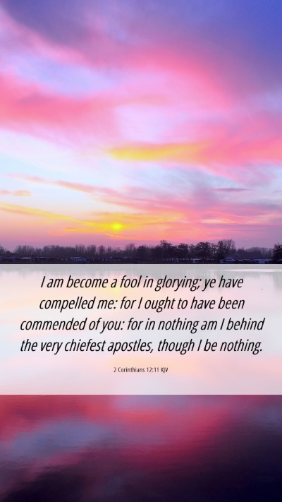 Picture 06 - 2 Corinthians 12:11 KJV Mobile Phone Wallpaper - I am become a fool in glorying; ye have compelled - Mobile Bible Verse Wallpaper
