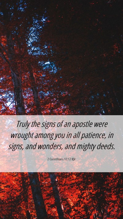 Picture 06 - 2 Corinthians 12:12 KJV Mobile Phone Wallpaper - Truly the signs of an apostle were wrought among - Mobile Bible Verse Wallpaper