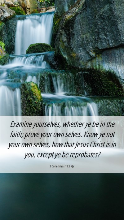 Picture 06 - 2 Corinthians 13:5 KJV Mobile Phone Wallpaper - Examine yourselves, whether ye be in the faith; - Mobile Bible Verse Wallpaper