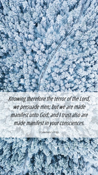 Picture 06 - 2 Corinthians 5:11 KJV Mobile Phone Wallpaper - Knowing therefore the terror of the Lord, we - Mobile Bible Verse Wallpaper