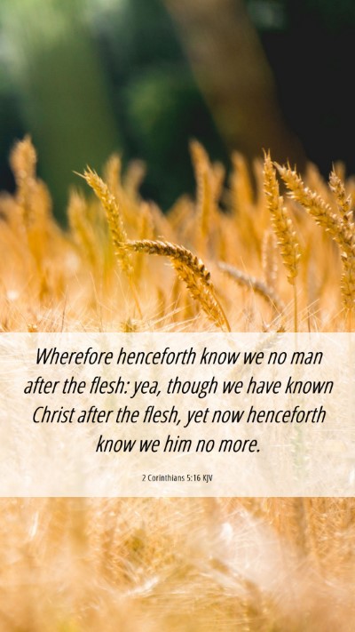 Picture 06 - 2 Corinthians 5:16 KJV Mobile Phone Wallpaper - Wherefore henceforth know we no man after the - Mobile Bible Verse Wallpaper