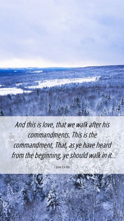 Picture 06 - 2 John 1:6 KJV Mobile Phone Wallpaper - And this is love, that we walk after his - Mobile Bible Verse Wallpaper