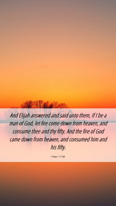 Picture 06 - 2 Kings 1:12 KJV Mobile Phone Wallpaper - And Elijah answered and said unto them, If I be a - Mobile Bible Verse Wallpaper
