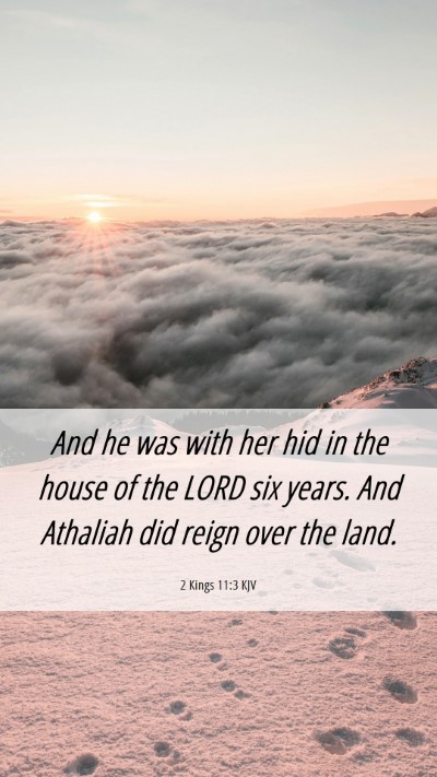 Picture 06 - 2 Kings 11:3 KJV Mobile Phone Wallpaper - And he was with her hid in the house of the LORD - Mobile Bible Verse Wallpaper