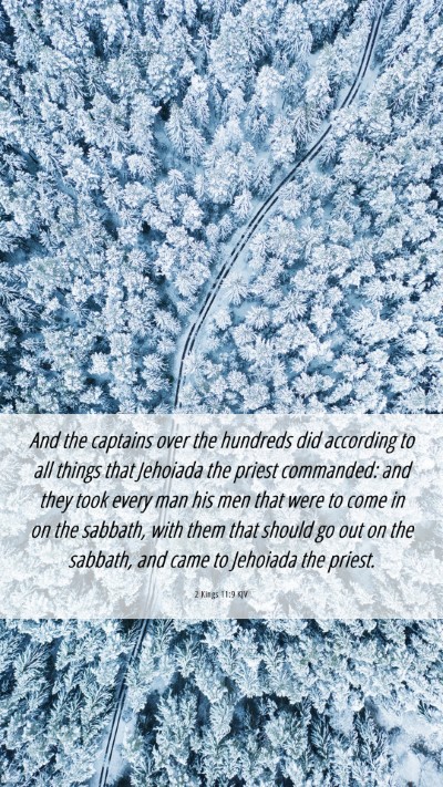 Picture 06 - 2 Kings 11:9 KJV Mobile Phone Wallpaper - And the captains over the hundreds did according - Mobile Bible Verse Wallpaper
