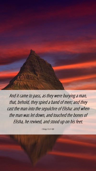 Picture 06 - 2 Kings 13:21 KJV Mobile Phone Wallpaper - And it came to pass, as they were burying a man, - Mobile Bible Verse Wallpaper