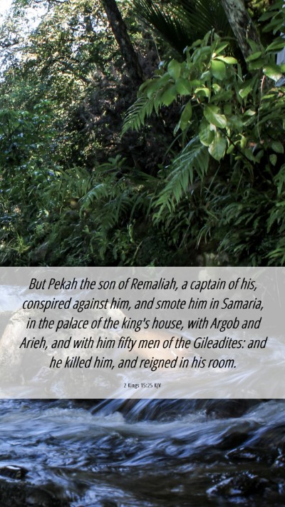 Picture 06 - 2 Kings 15:25 KJV Mobile Phone Wallpaper - But Pekah the son of Remaliah, a captain of his, - Mobile Bible Verse Wallpaper