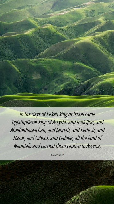 Picture 06 - 2 Kings 15:29 KJV Mobile Phone Wallpaper - In the days of Pekah king of Israel came - Mobile Bible Verse Wallpaper