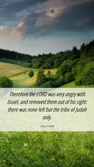 Picture 06 - 2 Kings 17:18 KJV Mobile Phone Wallpaper - Therefore the LORD was very angry with Israel, - Mobile Bible Verse Wallpaper