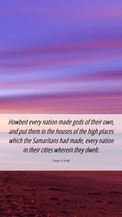 Picture 06 - 2 Kings 17:29 KJV Mobile Phone Wallpaper - Howbeit every nation made gods of their own, and - Mobile Bible Verse Wallpaper