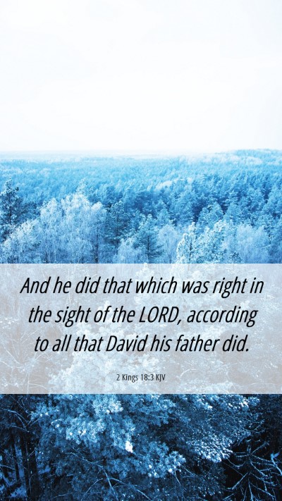 Picture 06 - 2 Kings 18:3 KJV Mobile Phone Wallpaper - And he did that which was right in the sight of - Mobile Bible Verse Wallpaper