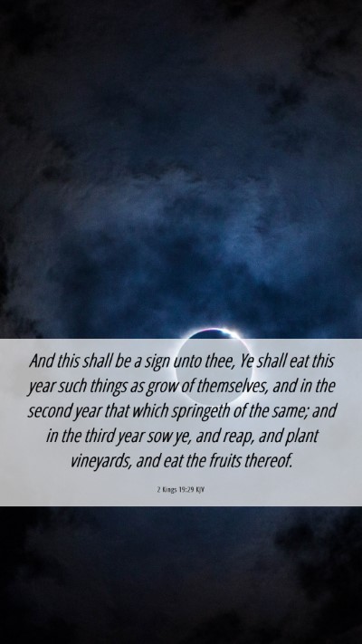 Picture 06 - 2 Kings 19:29 KJV Mobile Phone Wallpaper - And this shall be a sign unto thee, Ye shall eat - Mobile Bible Verse Wallpaper