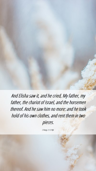 Picture 06 - 2 Kings 2:12 KJV Mobile Phone Wallpaper - And Elisha saw it, and he cried, My father, my - Mobile Bible Verse Wallpaper