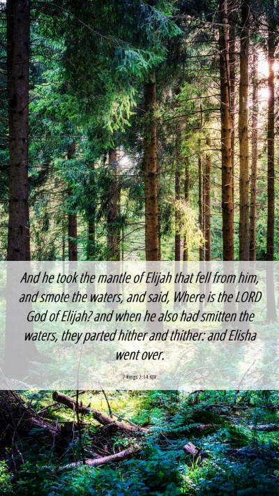 Picture 06 - 2 Kings 2:14 KJV Mobile Phone Wallpaper - And he took the mantle of Elijah that fell from - Mobile Bible Verse Wallpaper
