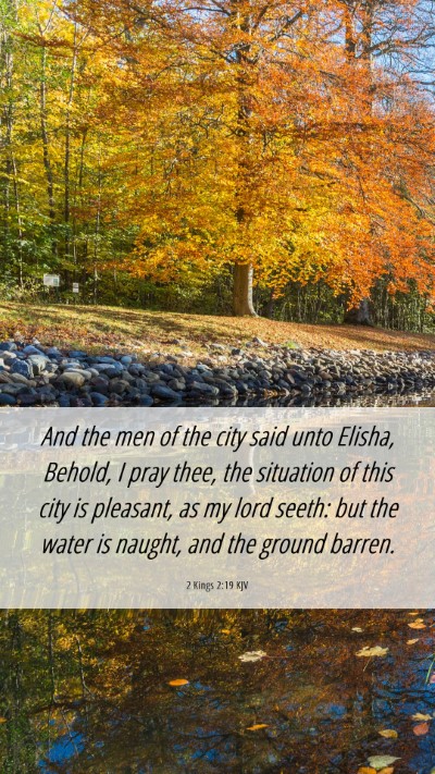 Picture 06 - 2 Kings 2:19 KJV Mobile Phone Wallpaper - And the men of the city said unto Elisha, Behold, - Mobile Bible Verse Wallpaper