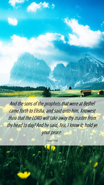Picture 06 - 2 Kings 2:3 KJV Mobile Phone Wallpaper - And the sons of the prophets that were at Bethel - Mobile Bible Verse Wallpaper