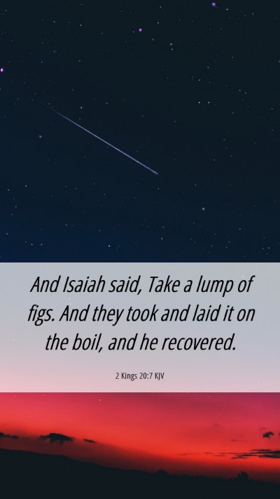 Picture 06 - 2 Kings 20:7 KJV Mobile Phone Wallpaper - And Isaiah said, Take a lump of figs. And they - Mobile Bible Verse Wallpaper