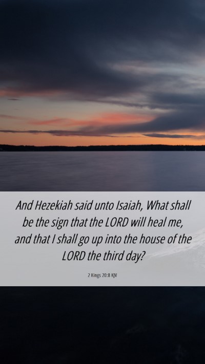 Picture 06 - 2 Kings 20:8 KJV Mobile Phone Wallpaper - And Hezekiah said unto Isaiah, What shall be the - Mobile Bible Verse Wallpaper