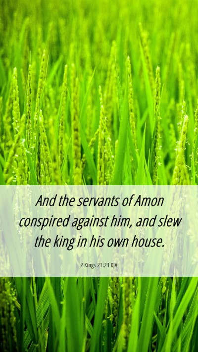 Picture 06 - 2 Kings 21:23 KJV Mobile Phone Wallpaper - And the servants of Amon conspired against him, - Mobile Bible Verse Wallpaper