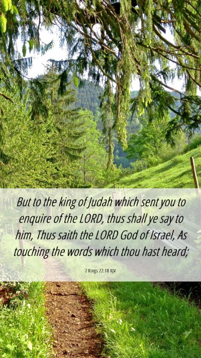 Picture 06 - 2 Kings 22:18 KJV Mobile Phone Wallpaper - But to the king of Judah which sent you to - Mobile Bible Verse Wallpaper