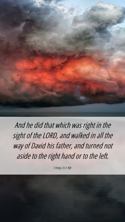 Picture 06 - 2 Kings 22:2 KJV Mobile Phone Wallpaper - And he did that which was right in the sight of - Mobile Bible Verse Wallpaper