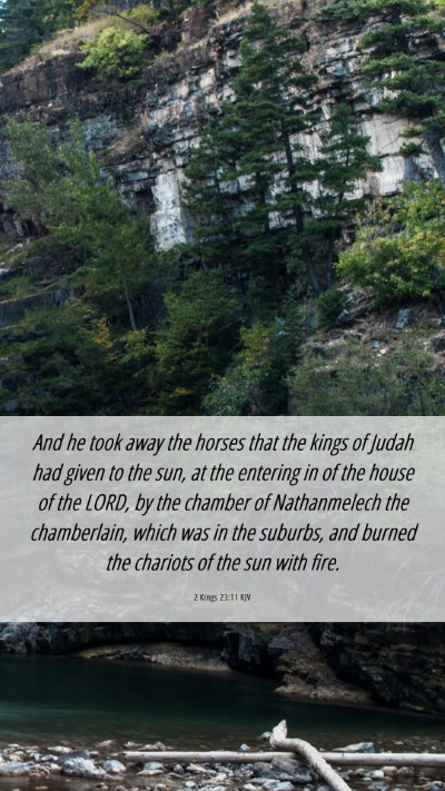 Picture 06 - 2 Kings 23:11 KJV Mobile Phone Wallpaper - And he took away the horses that the kings of - Mobile Bible Verse Wallpaper
