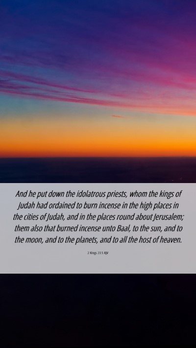 Picture 06 - 2 Kings 23:5 KJV Mobile Phone Wallpaper - And he put down the idolatrous priests, whom the - Mobile Bible Verse Wallpaper