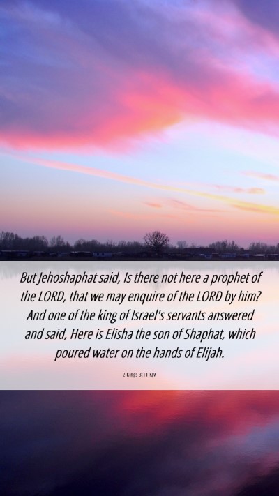 Picture 06 - 2 Kings 3:11 KJV Mobile Phone Wallpaper - But Jehoshaphat said, Is there not here a prophet - Mobile Bible Verse Wallpaper