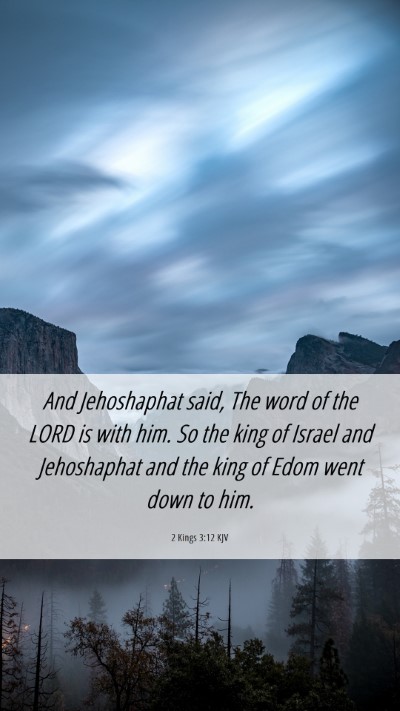 Picture 06 - 2 Kings 3:12 KJV Mobile Phone Wallpaper - And Jehoshaphat said, The word of the LORD is - Mobile Bible Verse Wallpaper