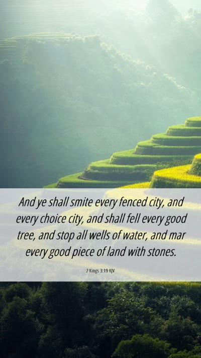 Picture 06 - 2 Kings 3:19 KJV Mobile Phone Wallpaper - And ye shall smite every fenced city, and every - Mobile Bible Verse Wallpaper