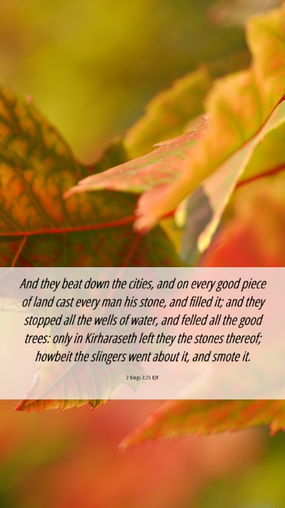 Picture 06 - 2 Kings 3:25 KJV Mobile Phone Wallpaper - And they beat down the cities, and on every good - Mobile Bible Verse Wallpaper