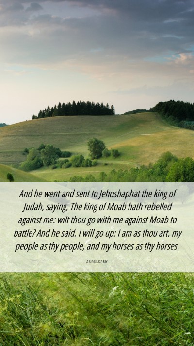 Picture 06 - 2 Kings 3:7 KJV Mobile Phone Wallpaper - And he went and sent to Jehoshaphat the king of - Mobile Bible Verse Wallpaper