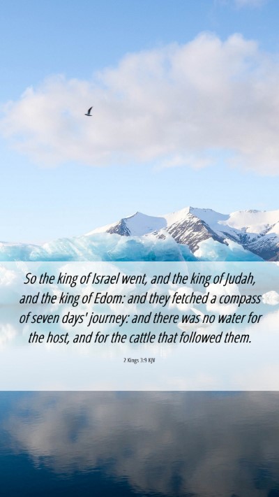 Picture 06 - 2 Kings 3:9 KJV Mobile Phone Wallpaper - So the king of Israel went, and the king of - Mobile Bible Verse Wallpaper