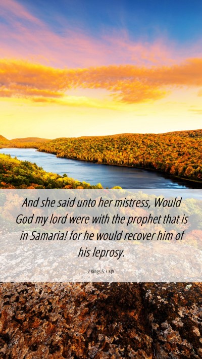 Picture 06 - 2 Kings 5:3 KJV Mobile Phone Wallpaper - And she said unto her mistress, Would God my lord - Mobile Bible Verse Wallpaper