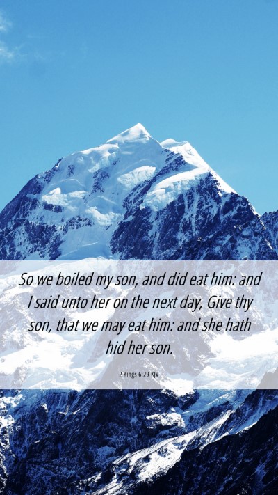Picture 06 - 2 Kings 6:29 KJV Mobile Phone Wallpaper - So we boiled my son, and did eat him: and I said - Mobile Bible Verse Wallpaper