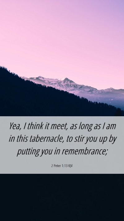Picture 06 - 2 Peter 1:13 KJV Mobile Phone Wallpaper - Yea, I think it meet, as long as I am in this - Mobile Bible Verse Wallpaper