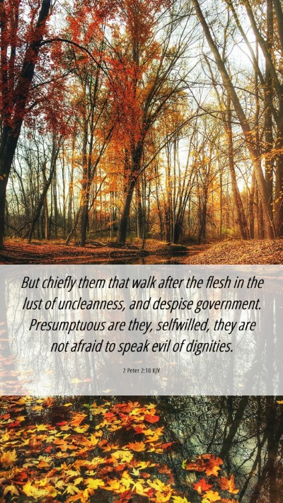 Picture 06 - 2 Peter 2:10 KJV Mobile Phone Wallpaper - But chiefly them that walk after the flesh in the - Mobile Bible Verse Wallpaper