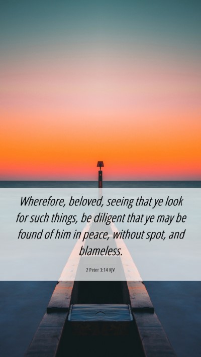 Picture 06 - 2 Peter 3:14 KJV Mobile Phone Wallpaper - Wherefore, beloved, seeing that ye look for such - Mobile Bible Verse Wallpaper