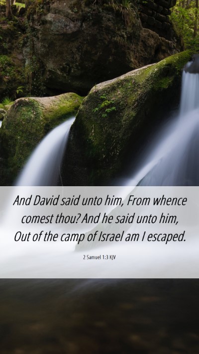 Picture 06 - 2 Samuel 1:3 KJV Mobile Phone Wallpaper - And David said unto him, From whence comest thou? - Mobile Bible Verse Wallpaper