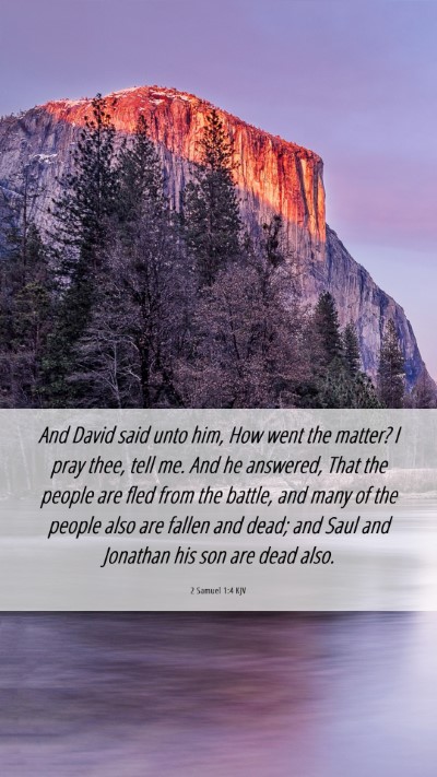 Picture 06 - 2 Samuel 1:4 KJV Mobile Phone Wallpaper - And David said unto him, How went the matter? I - Mobile Bible Verse Wallpaper