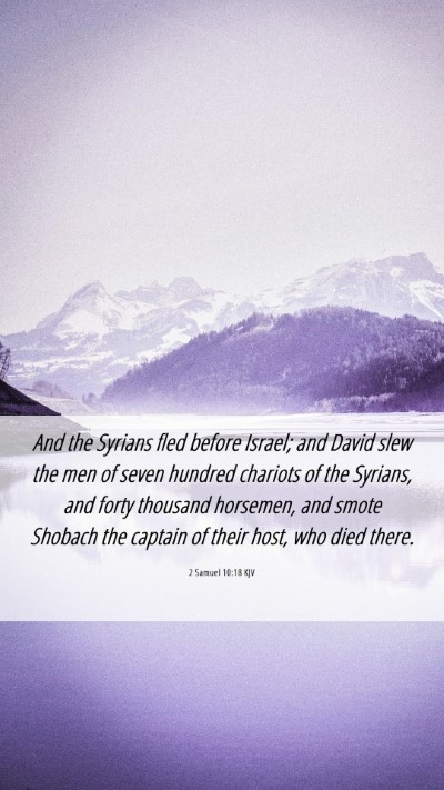 Picture 06 - 2 Samuel 10:18 KJV Mobile Phone Wallpaper - And the Syrians fled before Israel; and David - Mobile Bible Verse Wallpaper