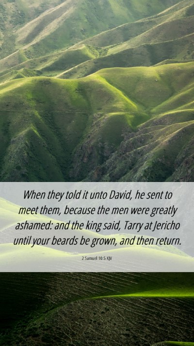 Picture 06 - 2 Samuel 10:5 KJV Mobile Phone Wallpaper - When they told it unto David, he sent to meet - Mobile Bible Verse Wallpaper