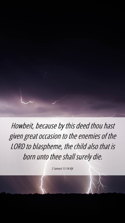 Picture 06 - 2 Samuel 12:14 KJV Mobile Phone Wallpaper - Howbeit, because by this deed thou hast given - Mobile Bible Verse Wallpaper