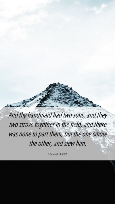 Picture 06 - 2 Samuel 14:6 KJV Mobile Phone Wallpaper - And thy handmaid had two sons, and they two - Mobile Bible Verse Wallpaper