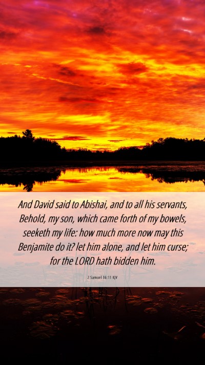 Picture 06 - 2 Samuel 16:11 KJV Mobile Phone Wallpaper - And David said to Abishai, and to all his - Mobile Bible Verse Wallpaper